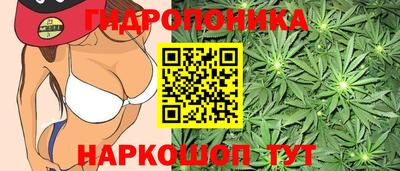гашиш Нальчик