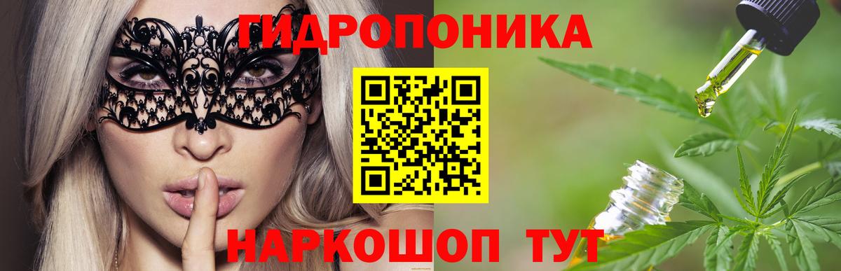 Канабис гибрид Сухой Лог